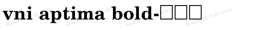 vni aptima bold字体转换